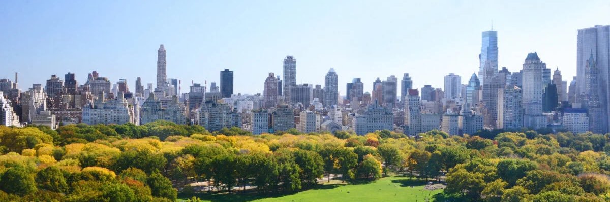 Chanel Davidoff, DO banner