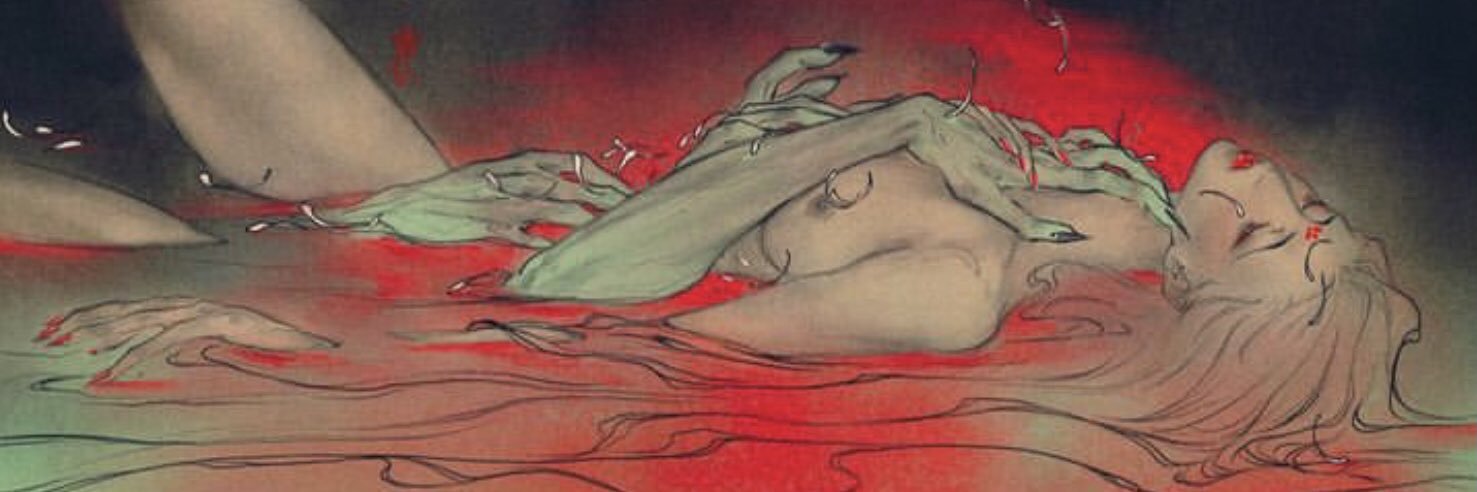valentina arroyadora banner