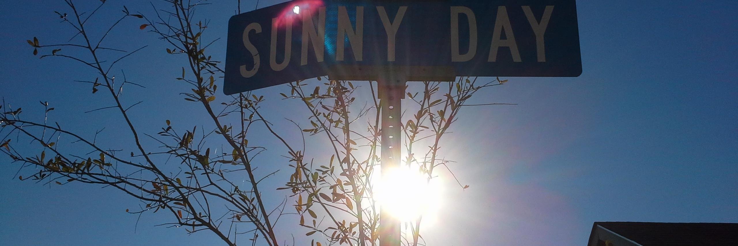 Chris Day banner