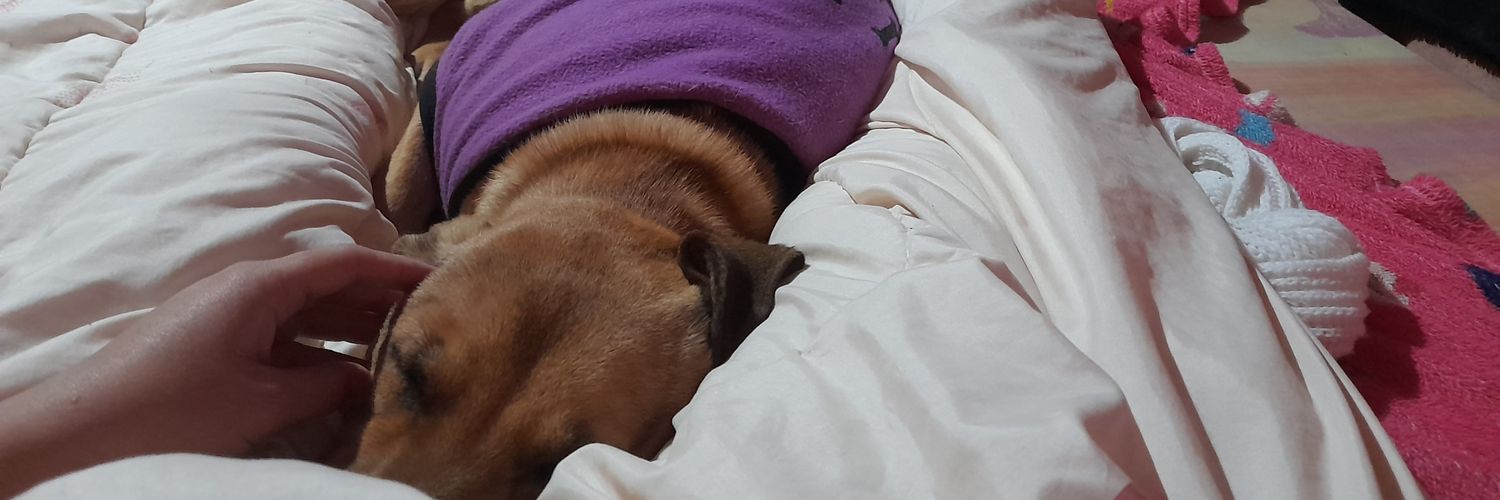 GiselFranco17's profile banner image