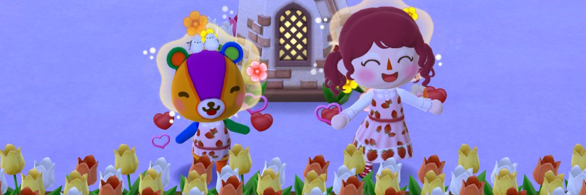 あやめ🌷🎀🐳 banner