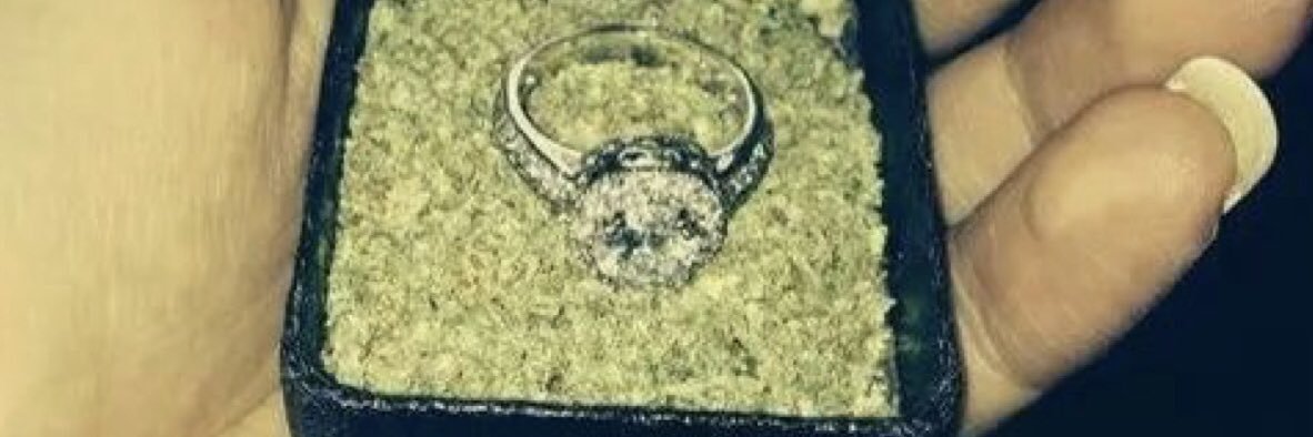 Scorpkitty13👽 banner