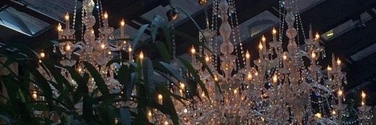 EllizabettL's profile banner image