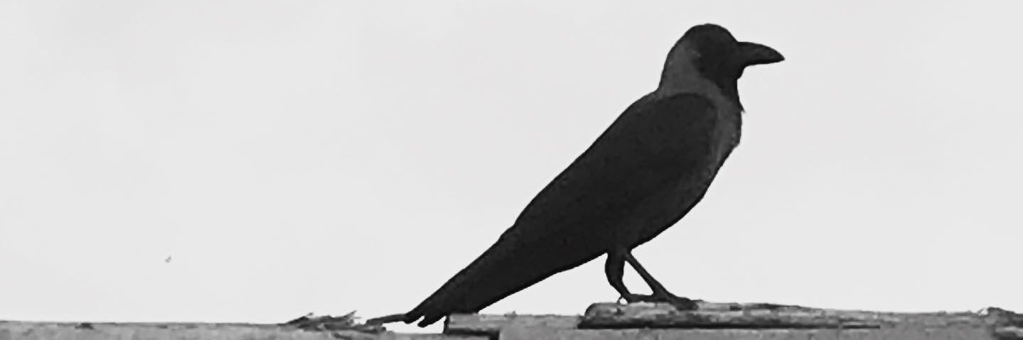 nandan24m's profile banner image