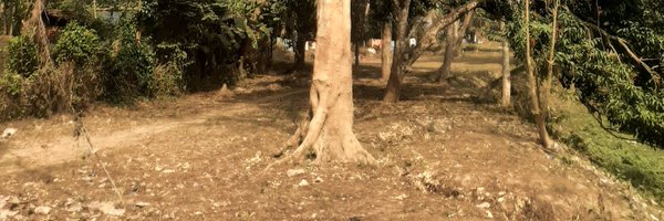 vaskarb Profile Banner