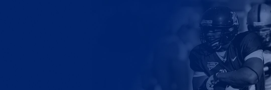 The Roost Podcast's banner