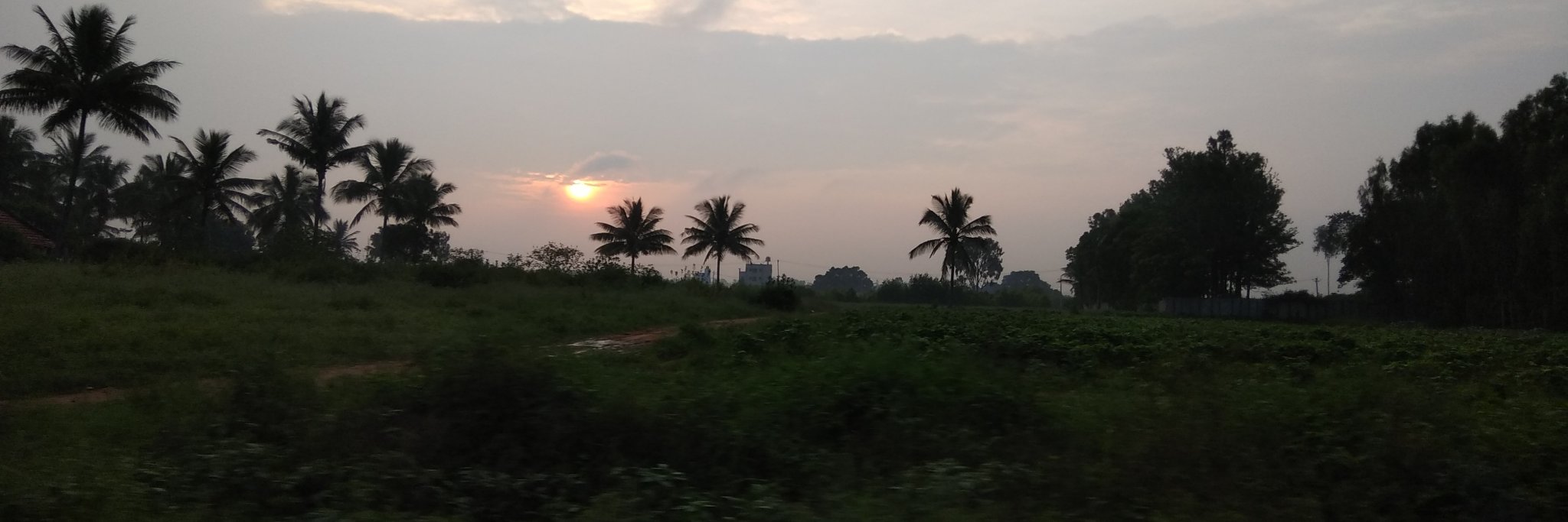 sree_76's profile banner image