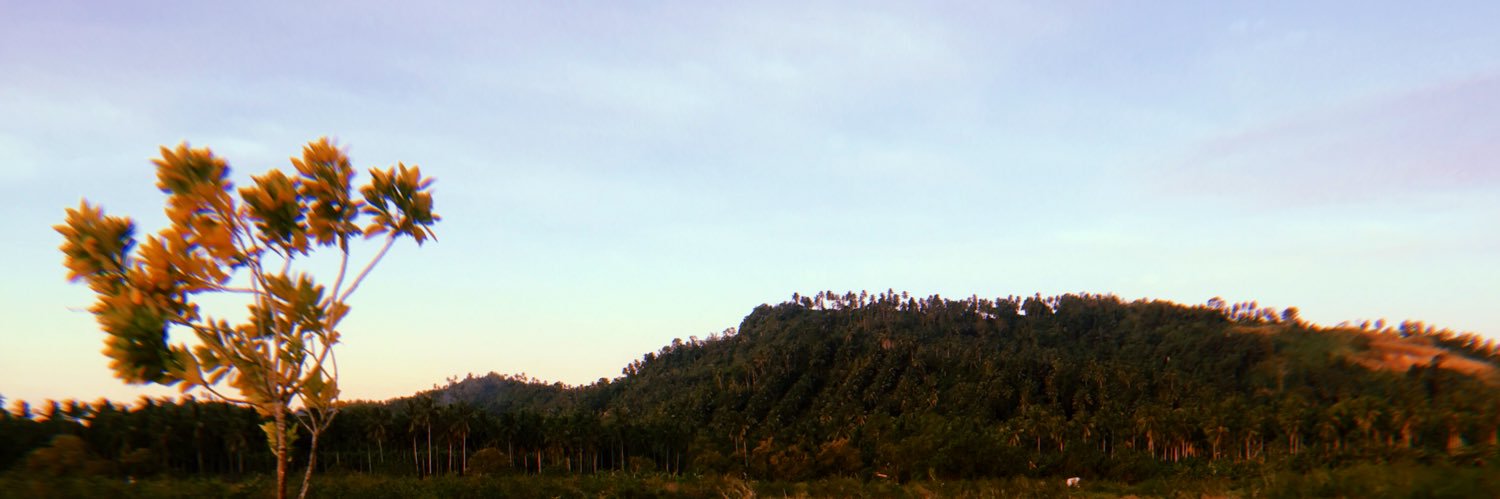 simarmataerinca's profile banner image