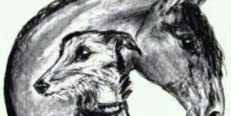peli_com's profile banner image