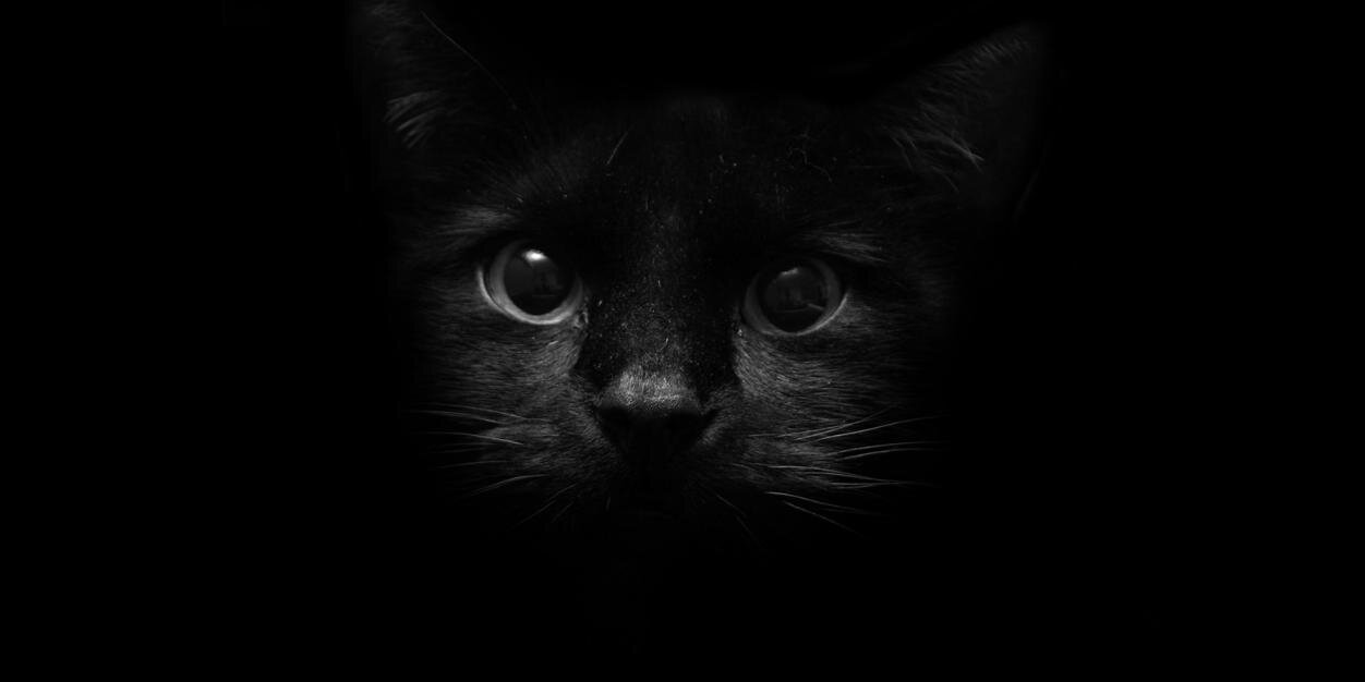 dewantorous's profile banner image