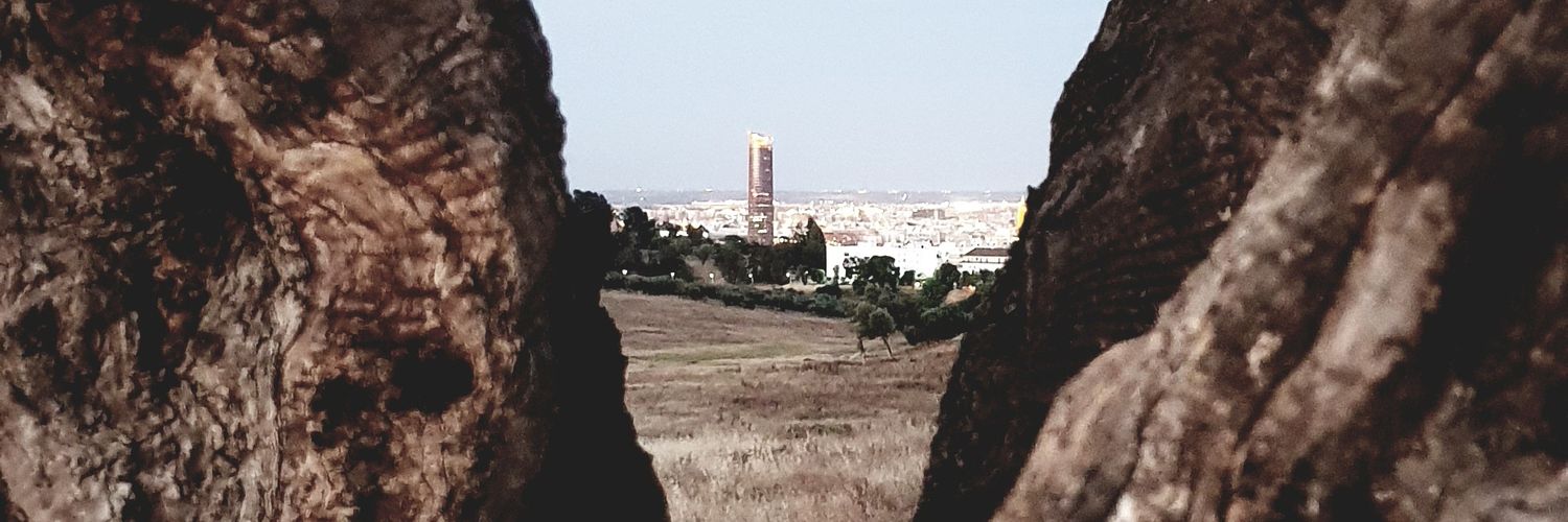 Alberto banner