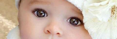 عبدالله banner