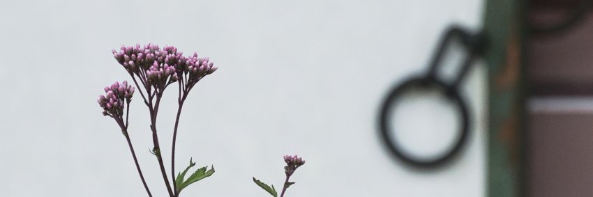 メンミ 멘미 banner