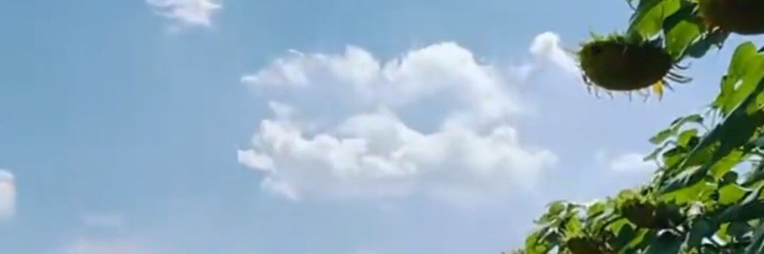 7rainbowshige's profile banner image