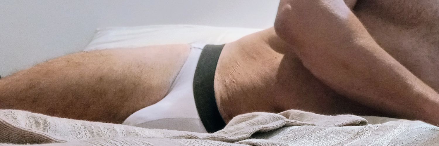 MERITOCRATICUS banner