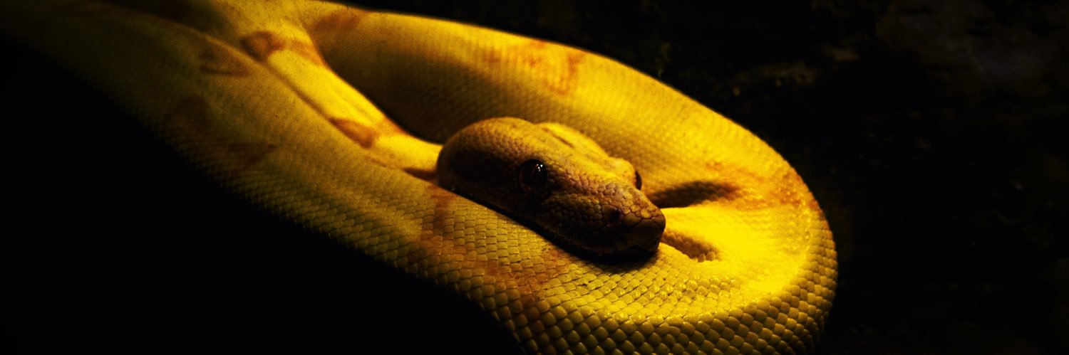 simonjezmrd's profile banner image
