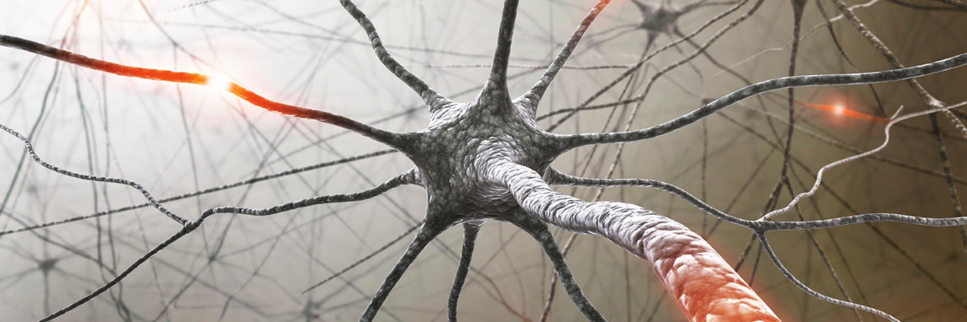 nperkyms's profile banner image