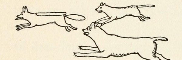 mike_boreas Profile Banner