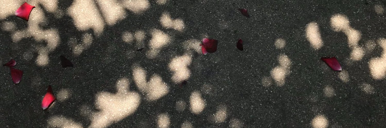 hamuhito's profile banner image