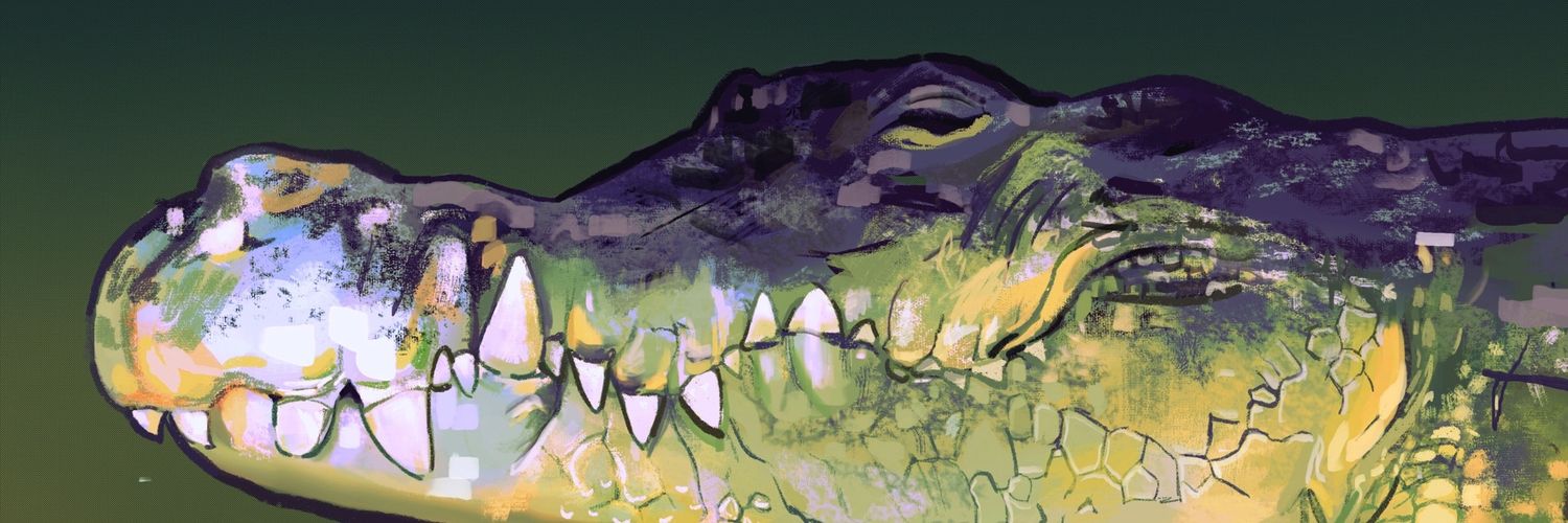 lex1cat's profile banner image