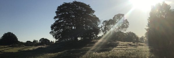 JadVinner Profile Banner