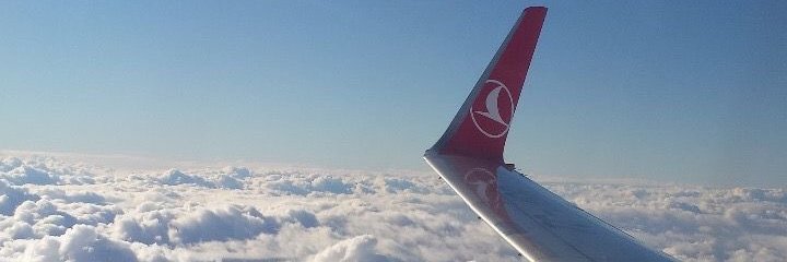 SleeplessLillyx's profile banner image