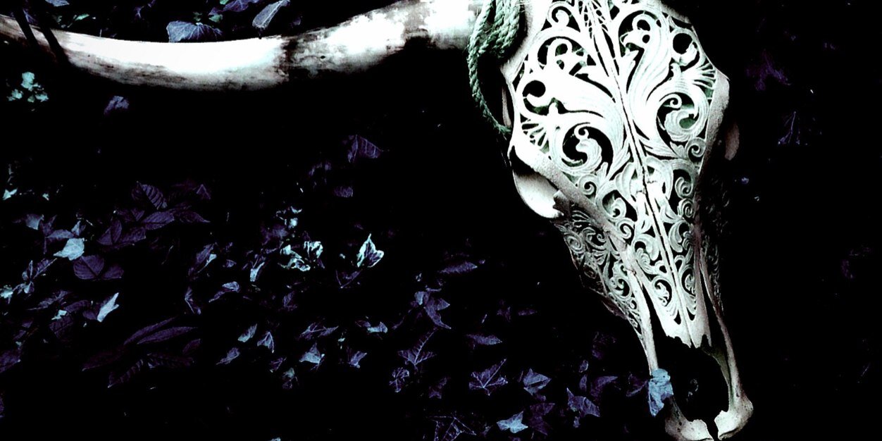 DoberdorDesign's profile banner image