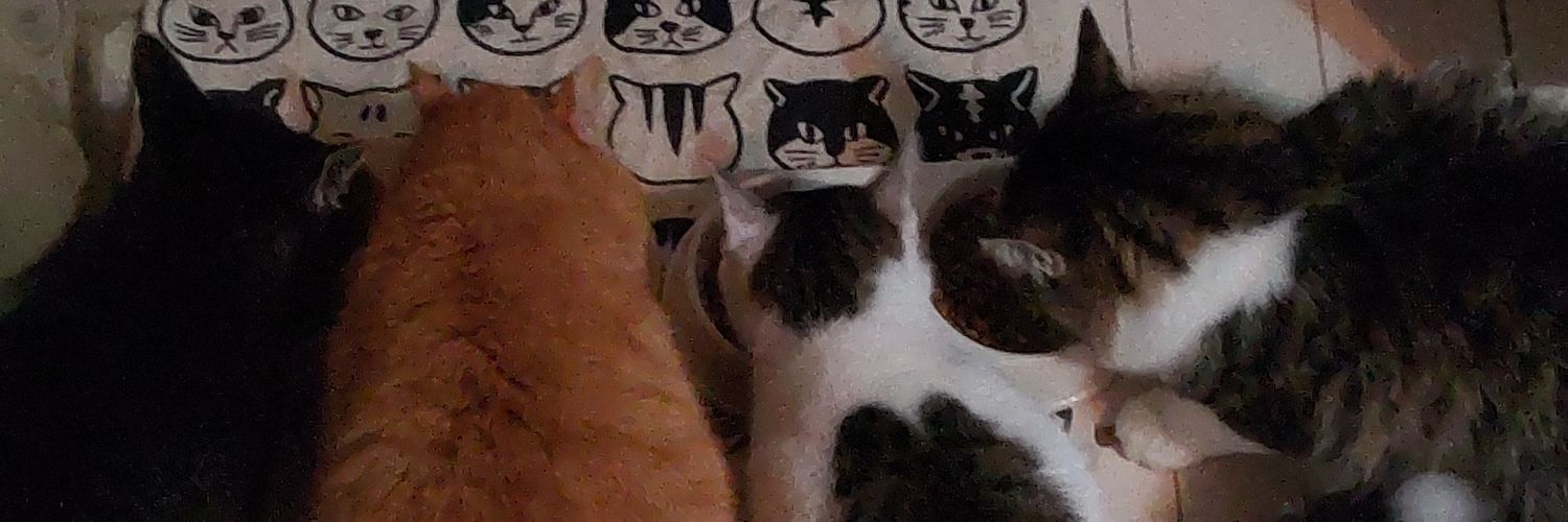 nu_mix's profile banner image
