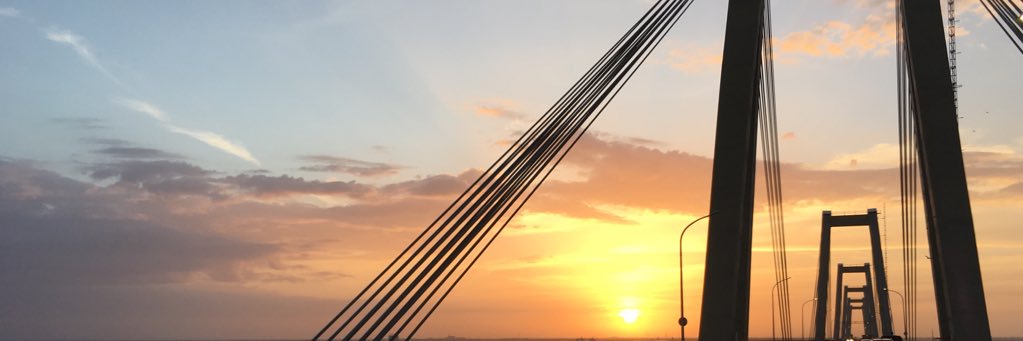 Franco Cafoncelli T. banner