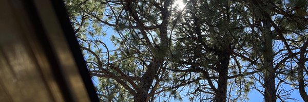 jondotbo Profile Banner