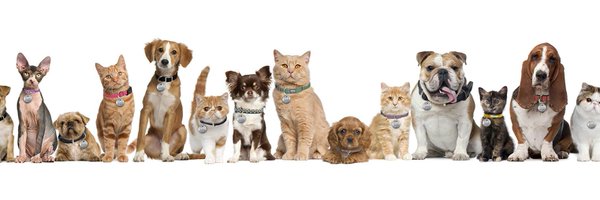 halipawsns Profile Banner
