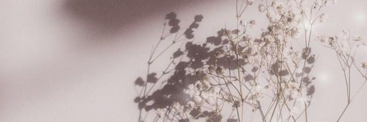 bluemilime's profile banner image