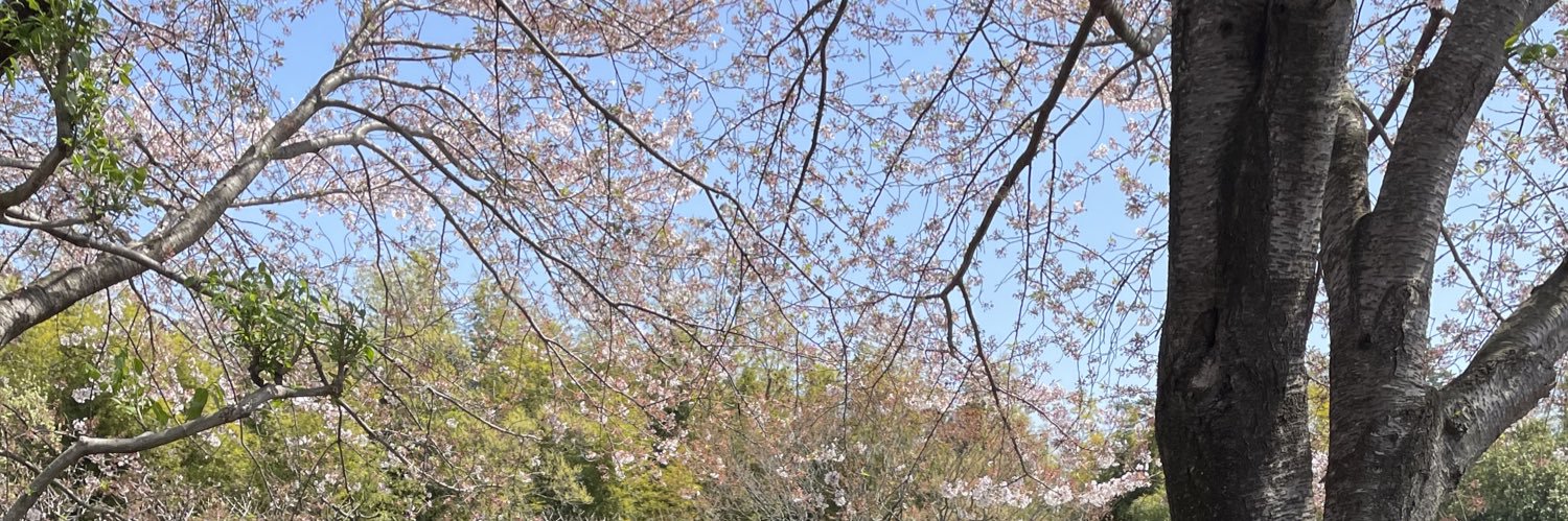 jun_jubilo's profile banner image