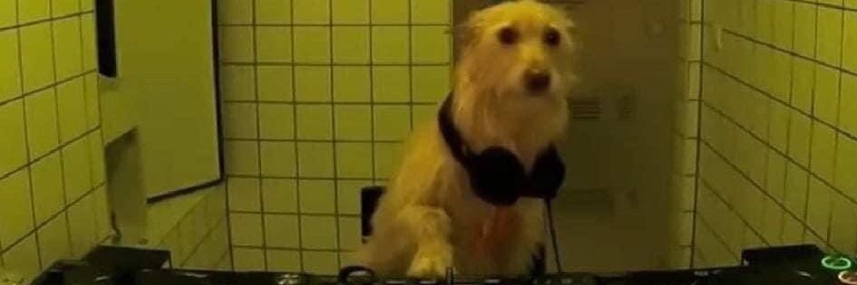 agradecido ramiro banner