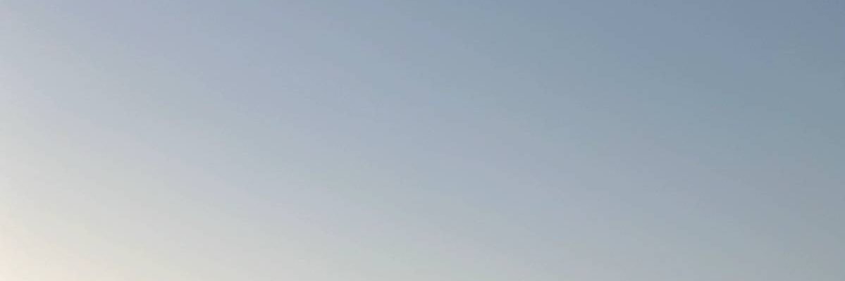 y58181346's profile banner image