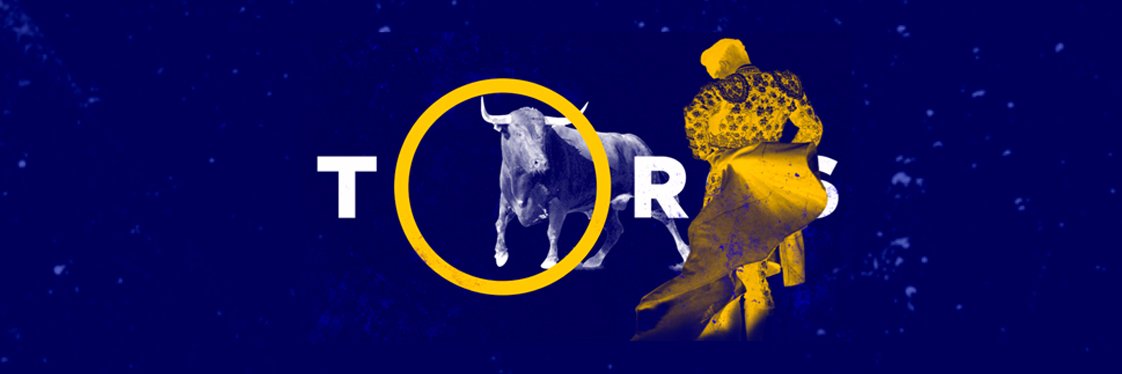 Toros banner