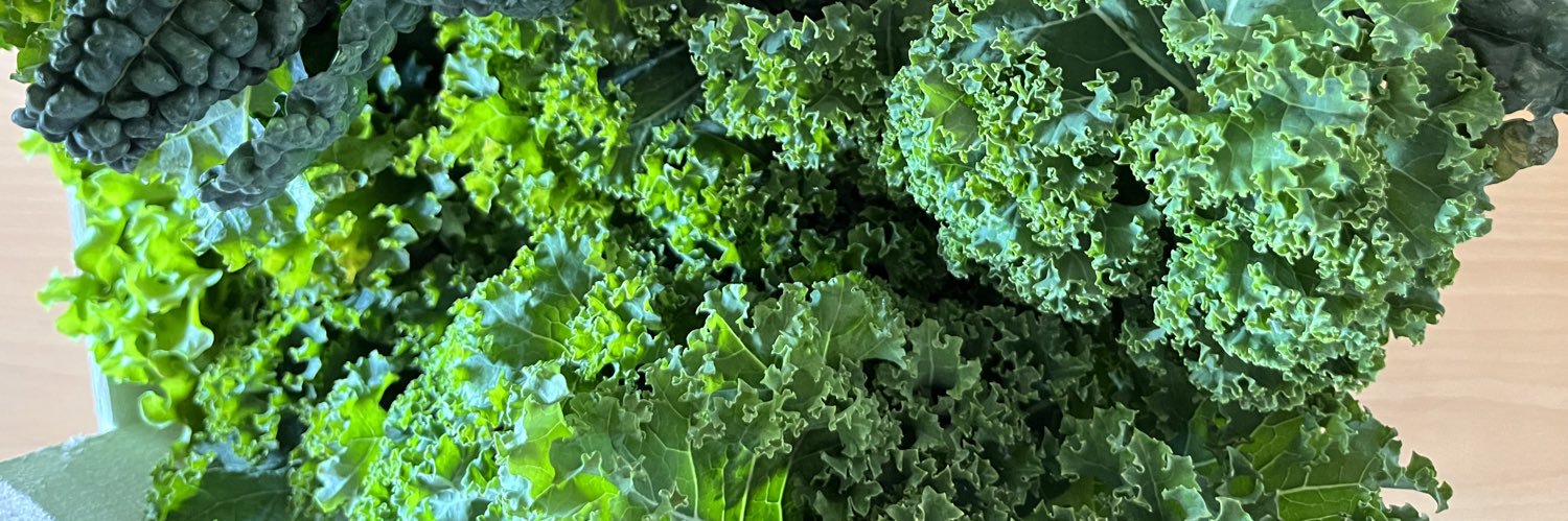 alessandro dell'anna banner