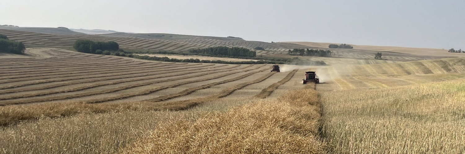 Amanda Shirtliffe banner