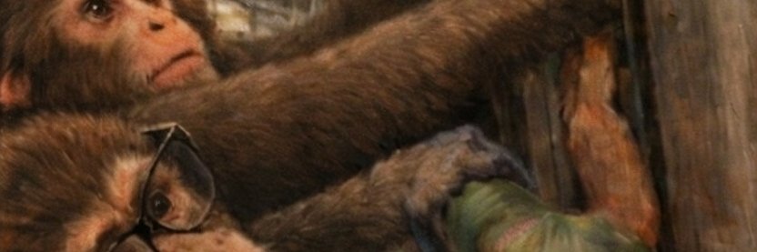 A Sense Of Evil Squirrel NotSure™ 🐿️ banner