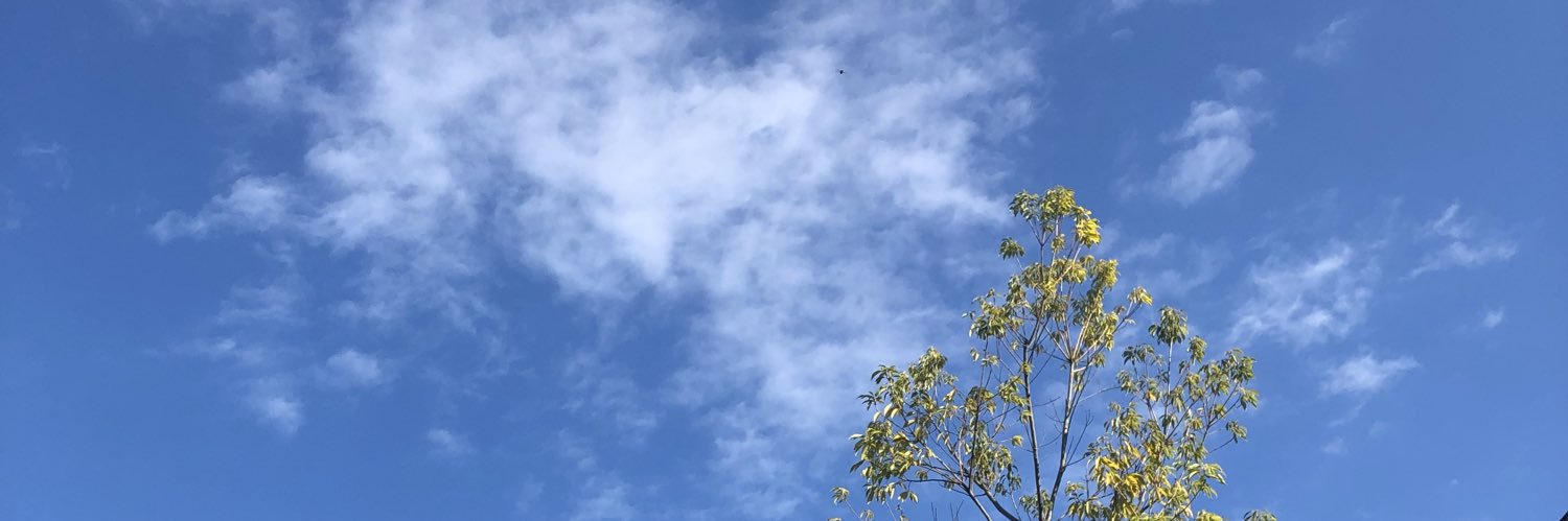 総合診療医Andy@英国留学 banner