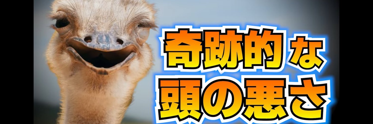 nk_stf's profile banner image