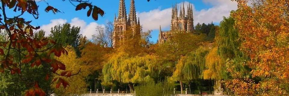 Juan Ignacio Vélez banner