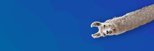 LlamaNekc Profile Banner