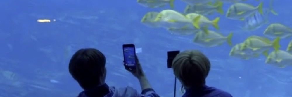 MARK ↺ 🪽 banner