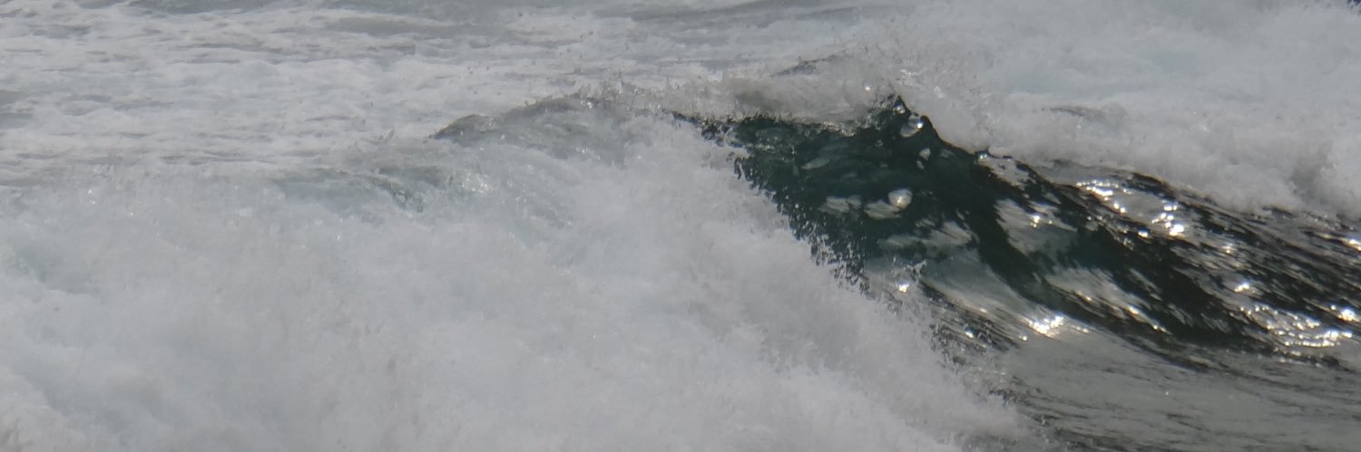 danielavallm's profile banner image