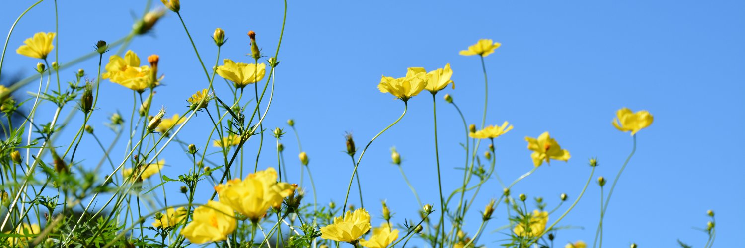 ten banner