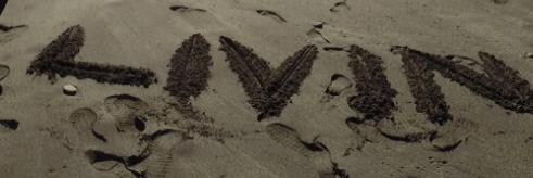 j13oconnor's profile banner image