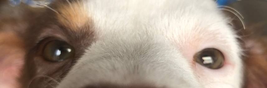 nickobvb's profile banner image