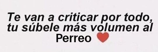 San Perreo banner