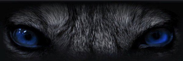 joshua_modupe Profile Banner